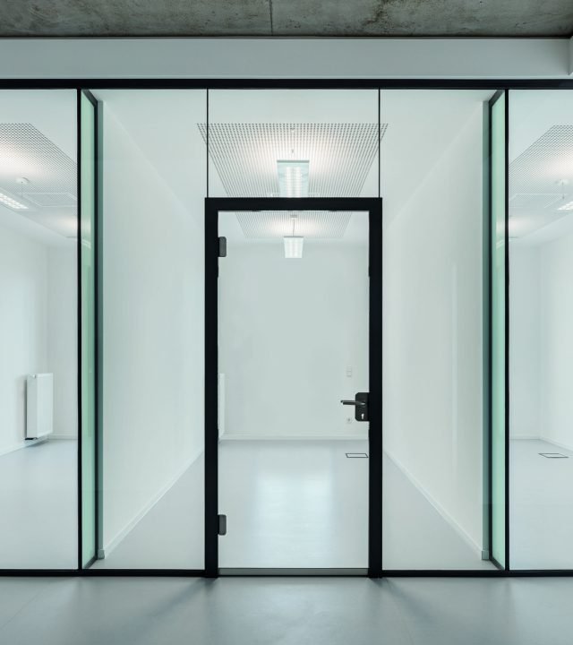 stekljannaja-aljuminievaja-dver